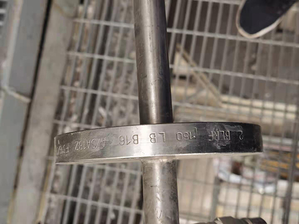 脫硝噴槍法蘭